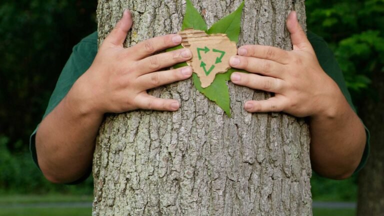 Környezetbarát és fenntartható ceruzagyártás